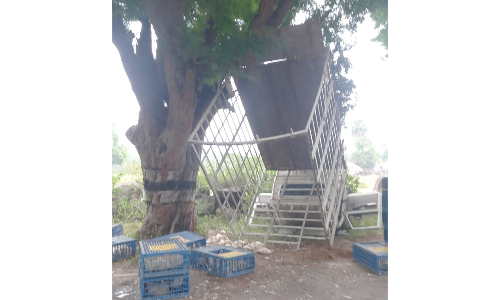 போச்சம்பள்ளி அருகே   டெம்போ டயர் வெடித்து விபத்து- 50 கோழிகள் பலி