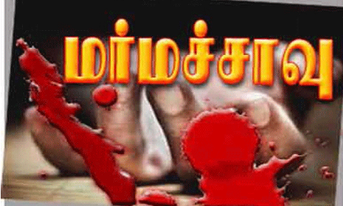 முன்னாள் ராணுவ வீரர் மர்ம சாவு
