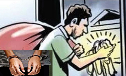 வீட்டில் திருடிய வாலிபர் கைது