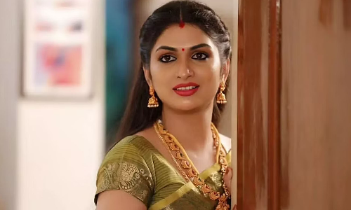 அடித்து துன்புறுத்திய கணவர்.. பிரபல சீரியல் நடிகை திவ்யா கதறல்..