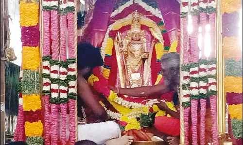 சிறுத்தொண்டநல்லூரில் தசரா திருவிழா: முத்துமாலை அம்மன் சப்பர பவனி