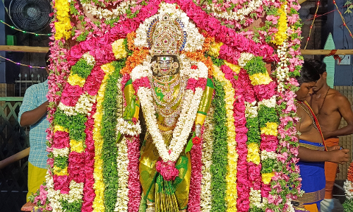 முத்துமாரியம்மன் கோவிலில் உற்சவ விழா