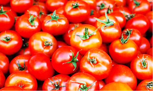 வேலூரில் தக்காளி கிலோ ரூ.50-ஆக உயர்வு