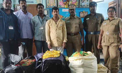 காட்பாடியில் ரெயிலில் கடத்தி வந்த 40 கிலோ கஞ்சா சாக்லேட் பறிமுதல்- ஒடிசா வாலிபர் கைது