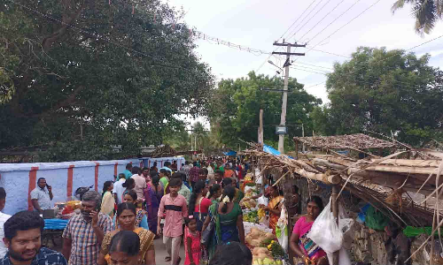 பல்லடத்தில் புரட்டாசி சனிக்கிழமையையொட்டி  ராமசாமி கோவிலில் திரண்ட பக்தர்கள்