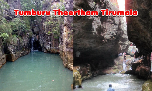 திருப்பதி தீர்த்தங்களும்... தீரும் பிரச்சனைகளும்...