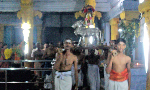 செங்கோட்டை   குலசேகரநாதர் கோவிலில் பிரதோஷ வழிபாடு