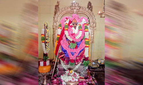 சங்கரன்கோவில்  வாராஹி அம்பாள் கோவிலில்  நவராத்திரி திருவிழா