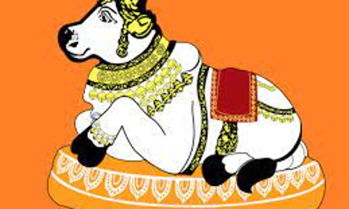 நந்திபெருமானுக்கு சிறப்பு அபிஷேகம்