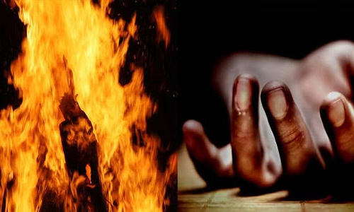 மோர்தானா வனப்பகுதியில் வாலிபர் எரித்து கொலை