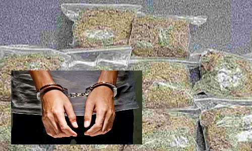 கஞ்சா விற்ற 2 வாலிபர்கள் கைது