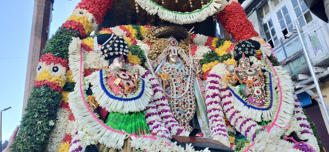 சீனிவாச பெருமாள் கோவிலில் திருக்கல்யாண நிகழ்ச்சி சீனிவாச பெருமாள் கோவிலில் திருக்கல்யாண நிகழ்ச்சி