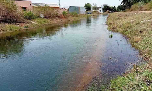 உடுமலையில் பி.ஏ.பி., கிளை கால்வாய்களில் நீர் திருட்டை தடுக்க வலியுறுத்தல்