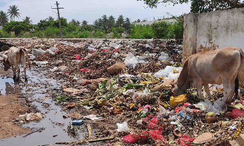 உடுமலையில் குப்பை கிடங்காக மாறி வரும் வாரச்சந்தை