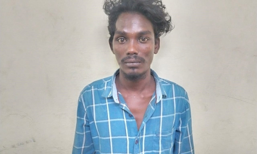 பண்ருட்டியில்  நாய்க்கு மயக்க பிஸ்கட் கொடுத்து வீட்டில் திருடிய கொள்ளையன் கைது