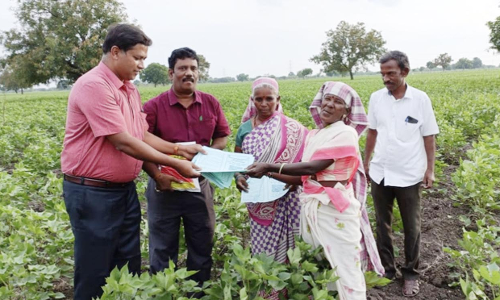 பருத்தியில் அதிக மகசூலை கொடுக்கும்  பூஸ்டர் பற்றிய விழிப்புணர்வு