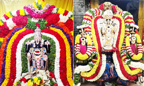 பெருமாள் கோவிலில் புரட்டாசி வழிபாடு