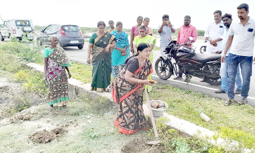 பனை விதைகள் நடும் பணி தொடக்கம்