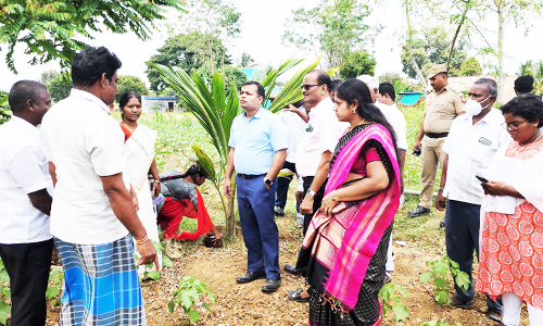 ஜோலார்பேட்டை ஒன்றிய பகுதிகளில் வளர்ச்சி திட்ட பணிகளை கலெக்டர் ஆய்வு