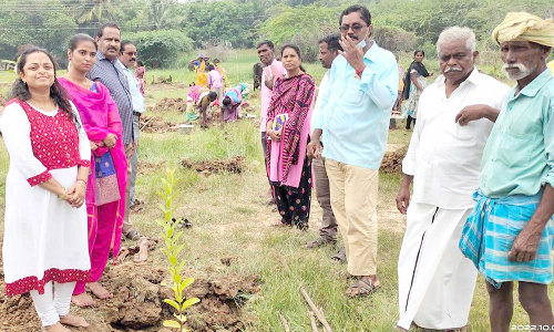 மரக்கன்று நடும் விழா