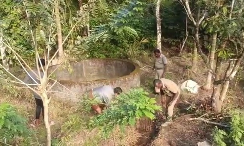 புலிநடமாட்டத்தை கண்காணிக்க 2 இடங்களில் கண்காணிப்பு காமிராக்கள்