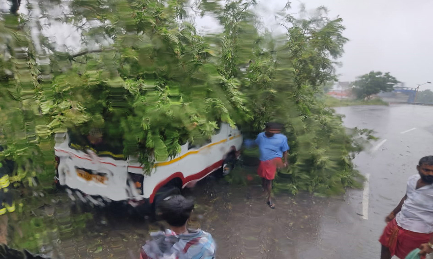 தியாகதுருகத்தில் விபத்து ஷேர் ஆட்டோ மீது விழுந்த புளியமரம்