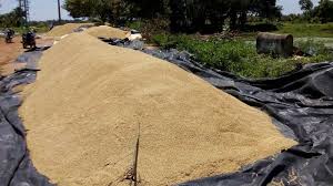 மழையில் நனைந்து வீணாகும் நெல்மணிகள்