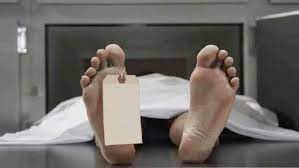 மோட்டார் சைக்கிளில் இருந்து தவறி விழுந்த வாலிபர் பலி மோட்டார் சைக்கிளில் இருந்து தவறி விழுந்த வாலிபர் பலி