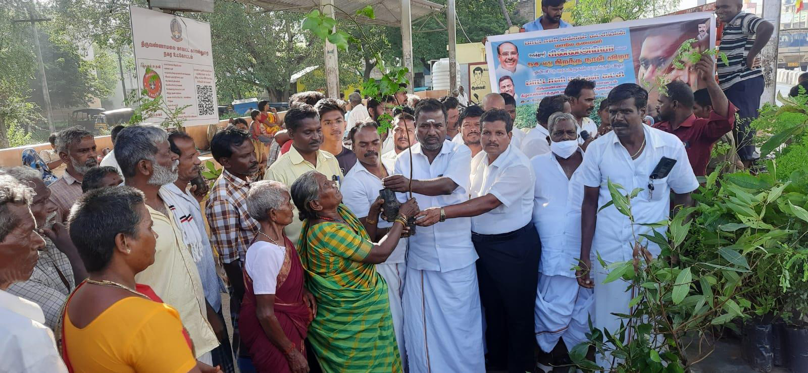 பா.ம.க.வினர் 1100 மரக்கன்றுகள் வழங்கினர்