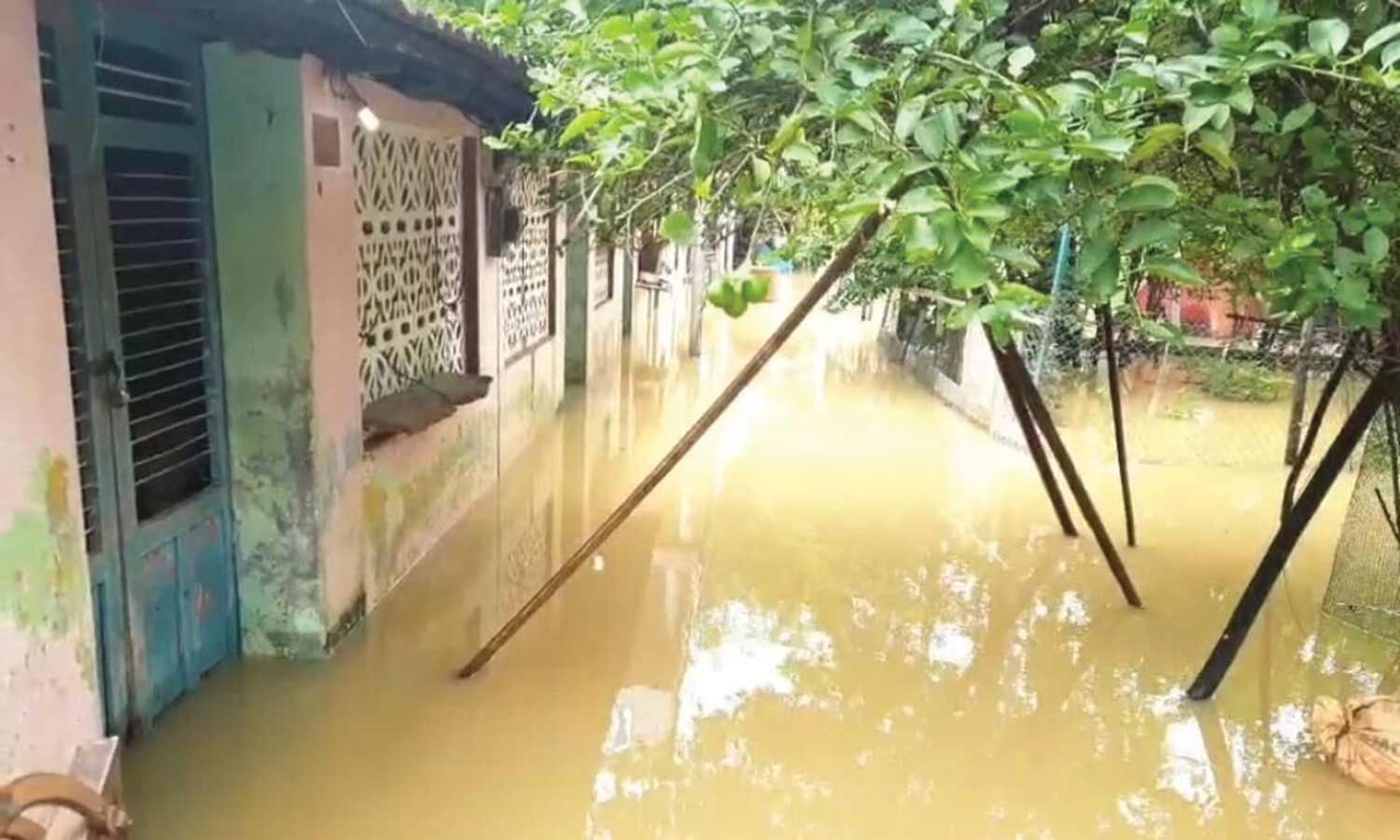 சோளிங்கரில் வீட்டிற்குள் புகுந்த மழை வெள்ளம்