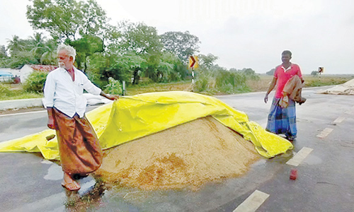 டெல்டா மாவட்டங்களில் தொடர் மழையால் நனைந்து வீணாகும் நெல் குவியல்கள்