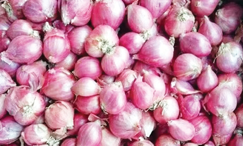 சேலத்தில் சின்ன வெங்காயம்  கிலோ ரூ.100 ஆக உயர்ந்தது  விவசாயிகள் மகிழ்ச்சி