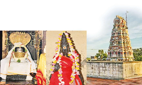 சிவகதி அருளும் திருச்சுழி திருமேனிநாதர் திருக்கோவில்