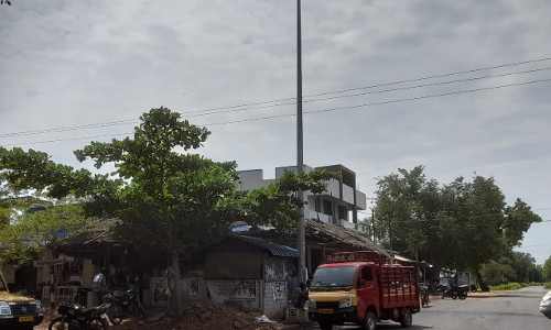 உயர் மின் கோபுர விளக்கு எரிய வைக்க கோரிக்கை