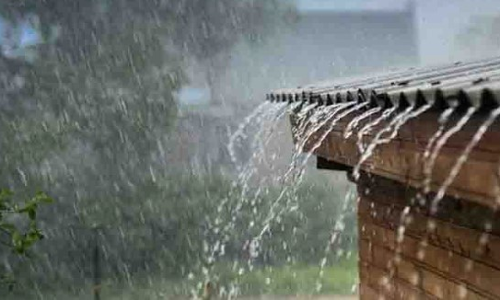 கடலூர் மாவட்டத்தில் இரவு முழுவதும் தொடர் மழை