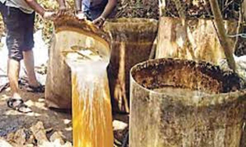 250 லிட்டர் சாராய ஊறல் அழிப்பு