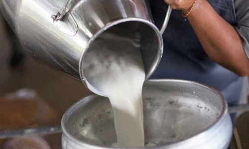பால் கொள்முதல் விலையை உயர்த்தி வழங்க வேண்டும் - கட்சி சார்பற்ற விவசாயிகள் சங்கத்தினர் வலியுறுத்தல்