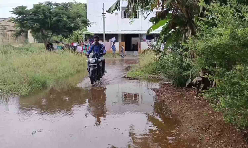 பல்லடம் அருகே  பி.ஏ.பி., வாய்க்கால்   தூர்வாராததால் ஊருக்குள் புகுந்த தண்ணீர்
