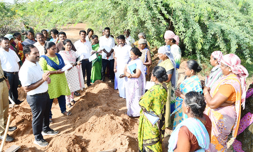 ரூ.6.39 கோடி மதிப்பீட்டில் கண்மாய்களில் சீரமைப்பு பணிகள்