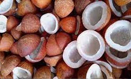 வெள்ளகோவிலில் ரூ. 65 லட்சத்திற்கு தேங்காய் பருப்பு ஏலம்