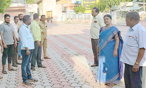 சாலைகளில் திரியும் மாடுகளை பிடிக்க களம் இறங்கிய நகராட்சி ஊழியர்கள்