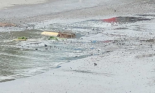 தஞ்சை தொல்காப்பியர் சதுக்கம் பகுதியில் சாலைகளில் பெருக்கெடுத்து ஓடும் கழிவு நீரால் பொதுமக்கள் கடும் அவதி