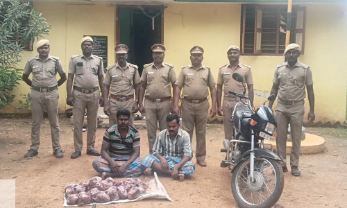 சிங்காரப்பேட்டை காப்புகாடு பகுதியில்   மான் வேட்டையாடிய இருவர் கைது