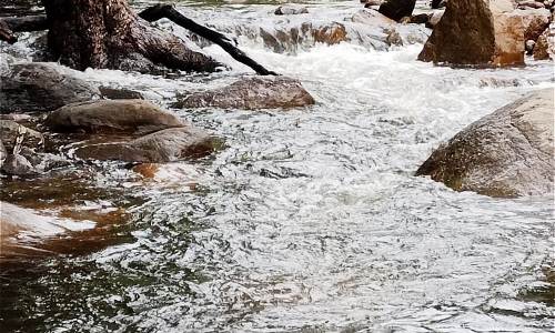 ராஜபாளையத்தில் கனமழை