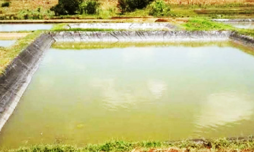 போளூர் பகுதியில் கலெக்டர் திடீர் ஆய்வு