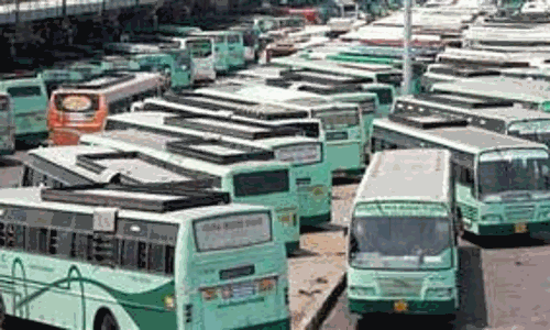 தீபாவளிக்கு கோவையில் இருந்து சிறப்பு பஸ்கள்-கூட்ட நெரிசலை தவிர்க்க தற்காலிக பஸ் நிலையம்