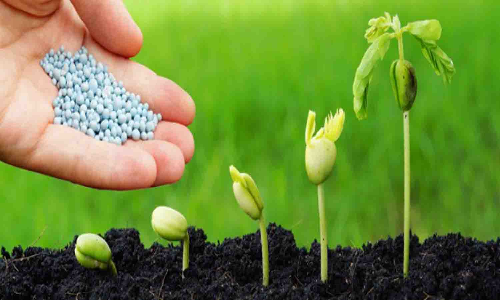 மானிய விலையில் விதை -உரம் விவசாயிகள் பயன்பெற வேண்டுகோள்