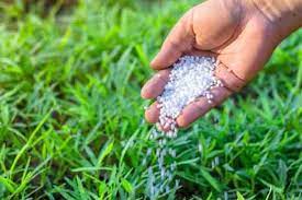 3 தனியார் உரக்கடைகளின் விற்பனை உரிமம் ரத்து 3 தனியார் உரக்கடைகளின் விற்பனை உரிமம் ரத்து