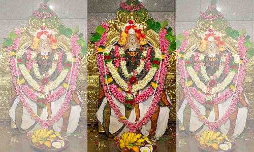 வெள்ளக்கோவில் கோவில்களில் கிருத்திகை சிறப்பு வழிபாடு