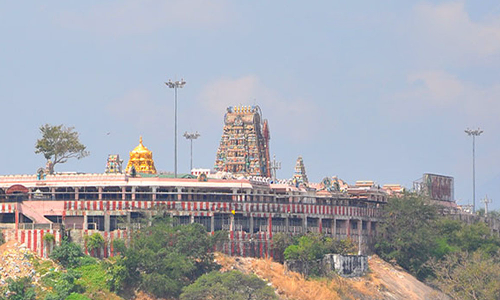 பழனி முருகன் கோவில் கும்பாபிஷேகம்: மூலவர் சிலையை பாதுகாத்து ஆராய சிறப்பு குழு